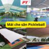 Mai che san pickleball